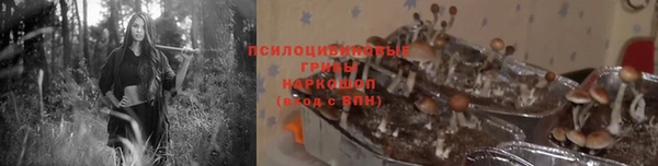 марки lsd Горнозаводск