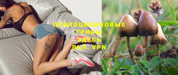 таблы Армянск